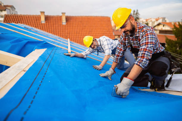 Best Roof Gutter Cleaning  in Proctor, VT