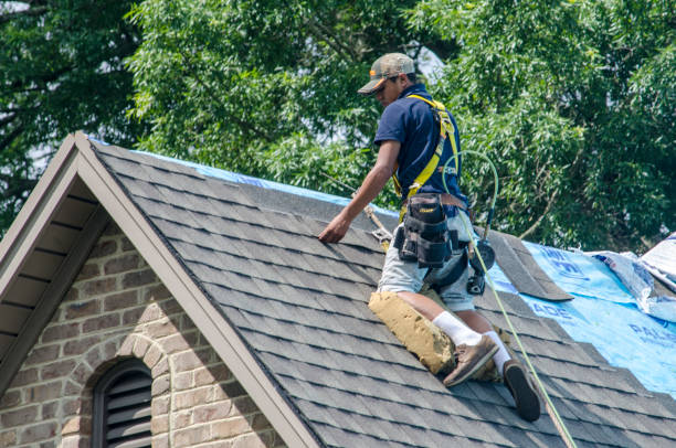 Best Gutter Installation and Roofing  in Proctor, VT